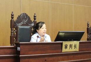 法官的荣耀,司法正义的守护者