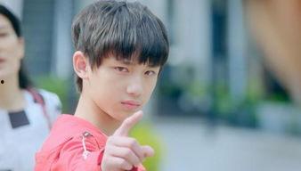 超少年密码,揭秘未来科技与青春梦想的交织之旅