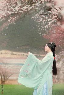 医梦倾华,揭开现代医学的神秘面纱