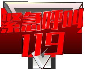 119紧急呼叫,守护生命线的紧急呼叫纪实