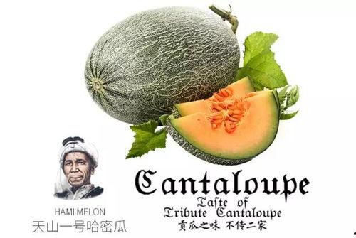 娱乐吃瓜营销号推荐,明星们的幕后故事，吃瓜群众必看！